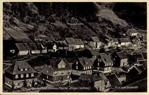 Ak Zorge Walkenried im Harz, Blick vom Taubental