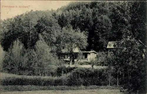 Ak Bad Arolsen in Hessen, Fischhaus, Wald