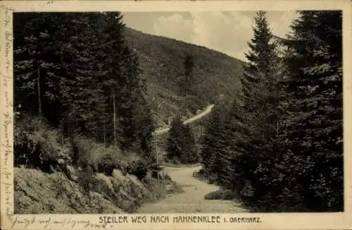 Ak Hahnenklee Bockswiese Goslar im Harz, Steiler Weg zum Ort, Wald