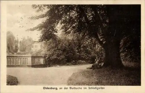 Ak Oldenburg in Oldenburg, Schlossgarten, Blutbuche