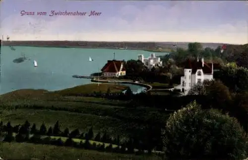 Ak Bad Zwischenahn in Oldenburg, Zwischenahner Meer