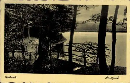 Ak Walsrode in der Lüneburger Heide, Stadtpark, Blick aufs Wasser