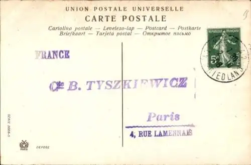 Ak Bunter Papagei, Ara