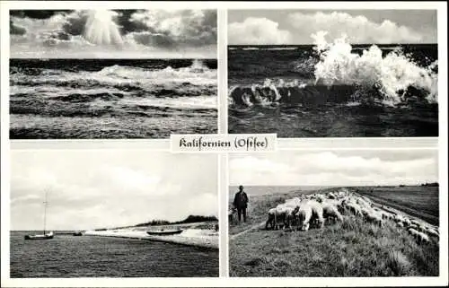 Ak Schönberg in Holstein, Ostseebad Kalifornien, Schafe, Hirte, See