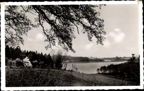 Ak Schierensee in Schleswig Holstein, Panorama