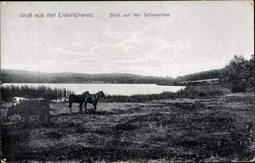 Ak Eiderschweiz Westensee in Schleswig Holstein, Blick auf den Schierensee