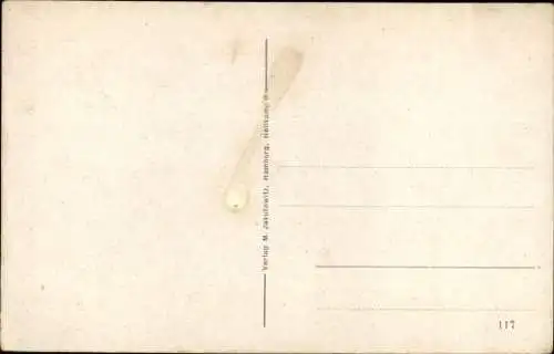 Ak Eiderschweiz Westensee in Schleswig Holstein, Blick auf den Schierensee