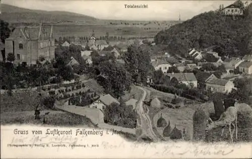Ak Falkenberg in der Mark, Totalansicht