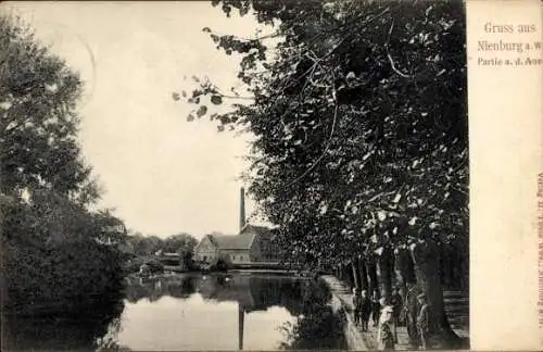 Ak Nienburg an der Weser, Aue, Fluss, Allee