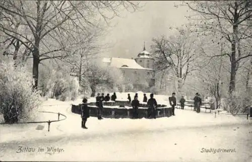 Ak Zittau in Sachsen, Stadtgärtnerei im Winter