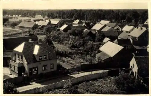 Foto Ak Krieschow Kolkwitz im Spreewald Niederlausitz, Totalansicht