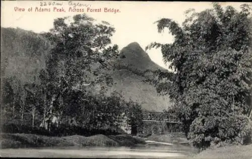 Ak Ceylon Sri Lanka, Adam's Peak, über die Waldbrücke