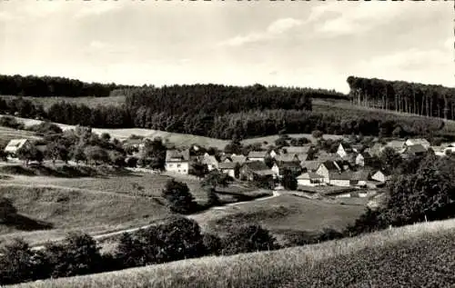 Ak Dudenrod Büdingen in Hessen, Panorama