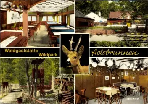 Ak Schlüchtern in Hessen, Wildpark, Waldgaststätte, Acisbrunnen, Gastraum, Rotwild