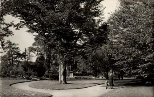 Ak Nordhausen am Harz, Promenade