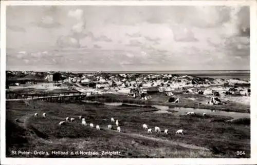 Ak Sankt Peter Ording in Nordfriesland, Zeltplatz, Dünen
