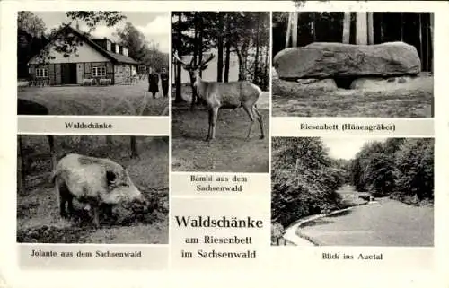 Ak Sachsenwald Hofriede Aumühle im Herzogtum Lauenburg, Waldschänke am Riesenbett