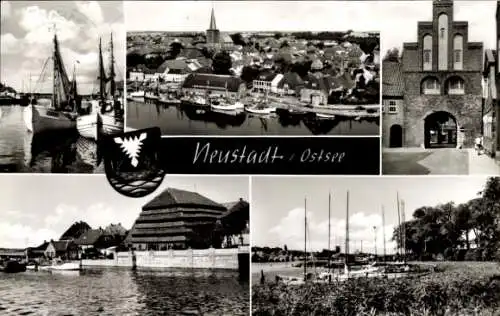 Ak Neustadt in Holstein, Segelschiffe, Hafen, Torborgen, Wappen