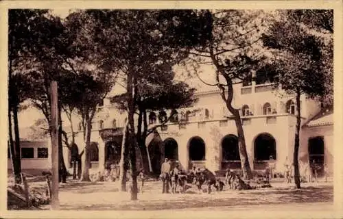 Ak Giens Var, La Pinéde