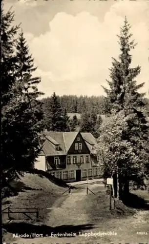 Ak Allrode Thale im Harz, Blick zum Ferienheim Luppbodemühle, Wald