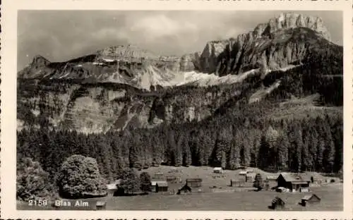 Ak Alt Aussee Altaussee Steiermark, Blaa Alm, Blaa-Alpe
