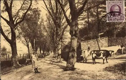 Ak Spa Wallonien Lüttich, Route de Geronstere