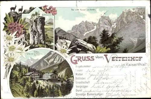 Litho Ebbs in Tirol, Veitenhof im Kaisertal, Wilder Kaiser, Teufelskanzel, Edelweiß