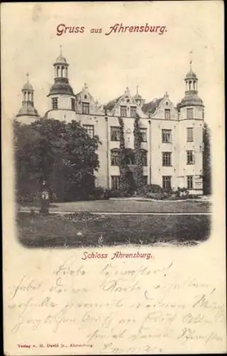 Ak Ahrensburg in Holstein, Schloss