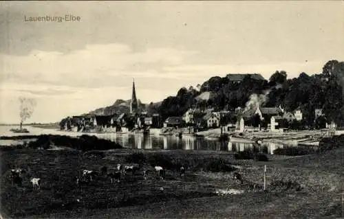 Ak Lauenburg an der Elbe, Teilansicht, weidende Rinder