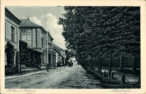 Ak Putbus auf der Insel Rügen, Blick in die Alleestraße
