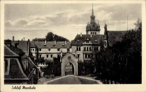 Ak Meerholz Gelnhausen in Hessen, Schloss