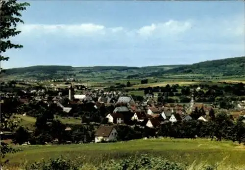 Ak Steinau an der Straße Hessen, Panorama