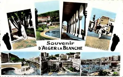 Ak Algier Alger Algerien, Contemplation, Jardin d'Essai, Musee, Prefecture, Avenue Pasteur