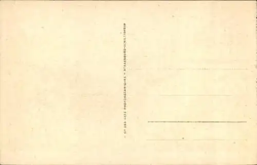 Ak Sainte Marie aux Mines Markirch Elsass Haut Rhin, Rue Wilson, Hotel