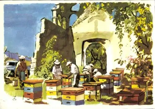 Künstler Ak Bienenzucht in aller Welt, Bienenzucht in Mexiko, Bienenstand