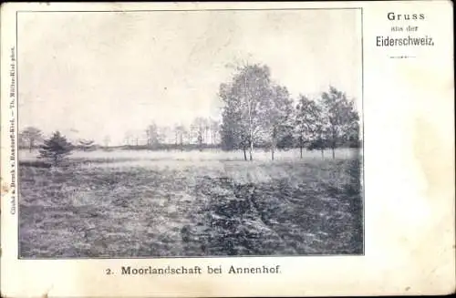 Ak Rodenbek in Schleswig Holstein, Annenhof, Moorlandschaft, Eiderschweiz