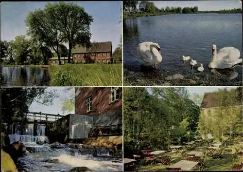 Ak Pinneberg in Holstein, Wulfsmühle, Schwanenfamilie, Wasserfall, Terrasse