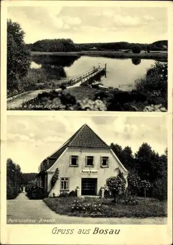 Ak Bosau in Holstein, Gasthaus und Pension H. Braasch, See