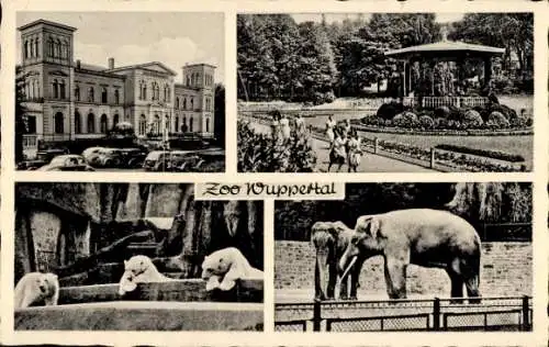 Ak Wuppertal, Zoologischer Garten, Elefanten, Eisbären, Gebäude