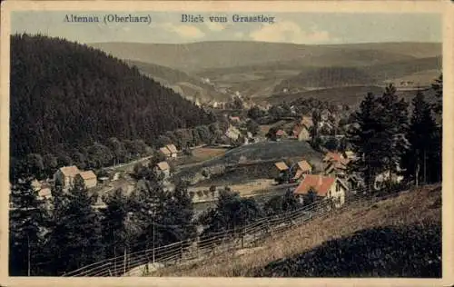 Ak Altenau Clausthal Zellerfeld im Oberharz, Blick vom Grasstieg