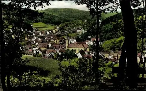 Ak Heigenbrücken im Spessart Unterfranken, Panorama