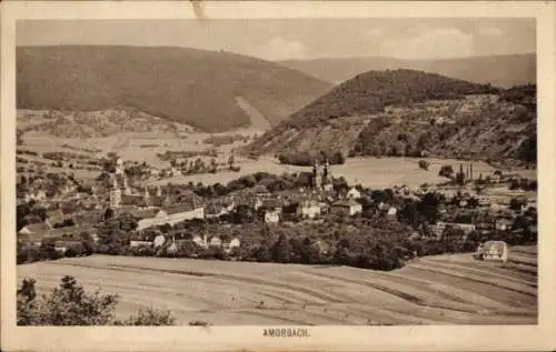 Ak Amorbach im Odenwald Unterfranken, Panorama