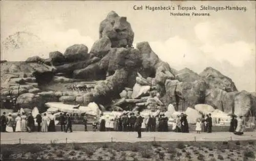Ak Hamburg Eimsbüttel Stellingen, Carl Hagenbeck's Tierpark, Nordisches Panorama