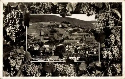 Passepartout Ak Neustadt an der Weinstraße, Blick auf den Ort, Weinreben