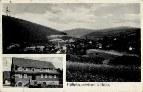 Ak Heiligkreuzsteinach am Neckar, Gesamtansicht, Gasthaus und Pension zum roten Löwen