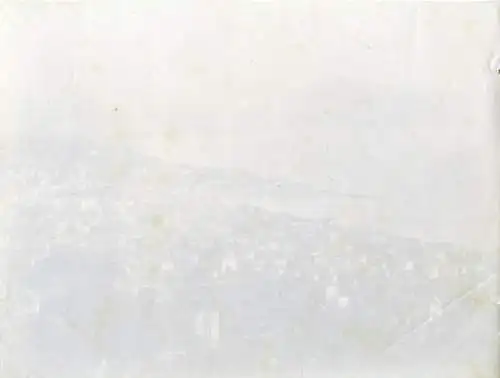 Original Fotografie Panoramaansicht von Cannes, Südfrankreich, 1894