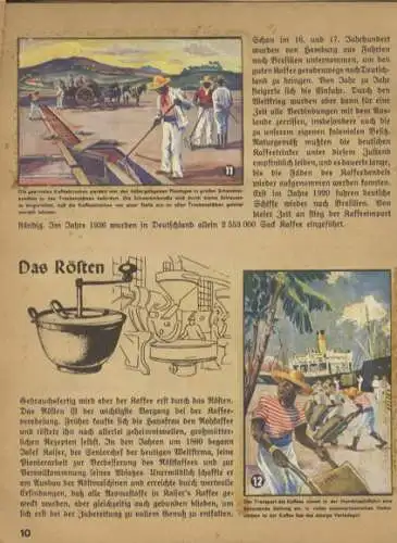 Almanach der Hausfrau 5 Eine gute Tasse Kaffee Sammelbilderalbum Kaiser's Kaffee Geschäft, Berlin 1