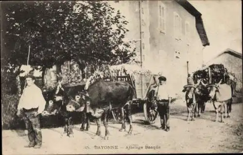 Ak Bayonne Pyrénées Atlantiques, Attelage Basque, Rinderkarren