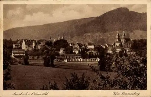 Ak Amorbach im Odenwald Unterfranken, Panorama, Blick vom Sommerberg