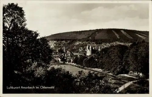 Ak Amorbach im Odenwald Unterfranken, Panorama